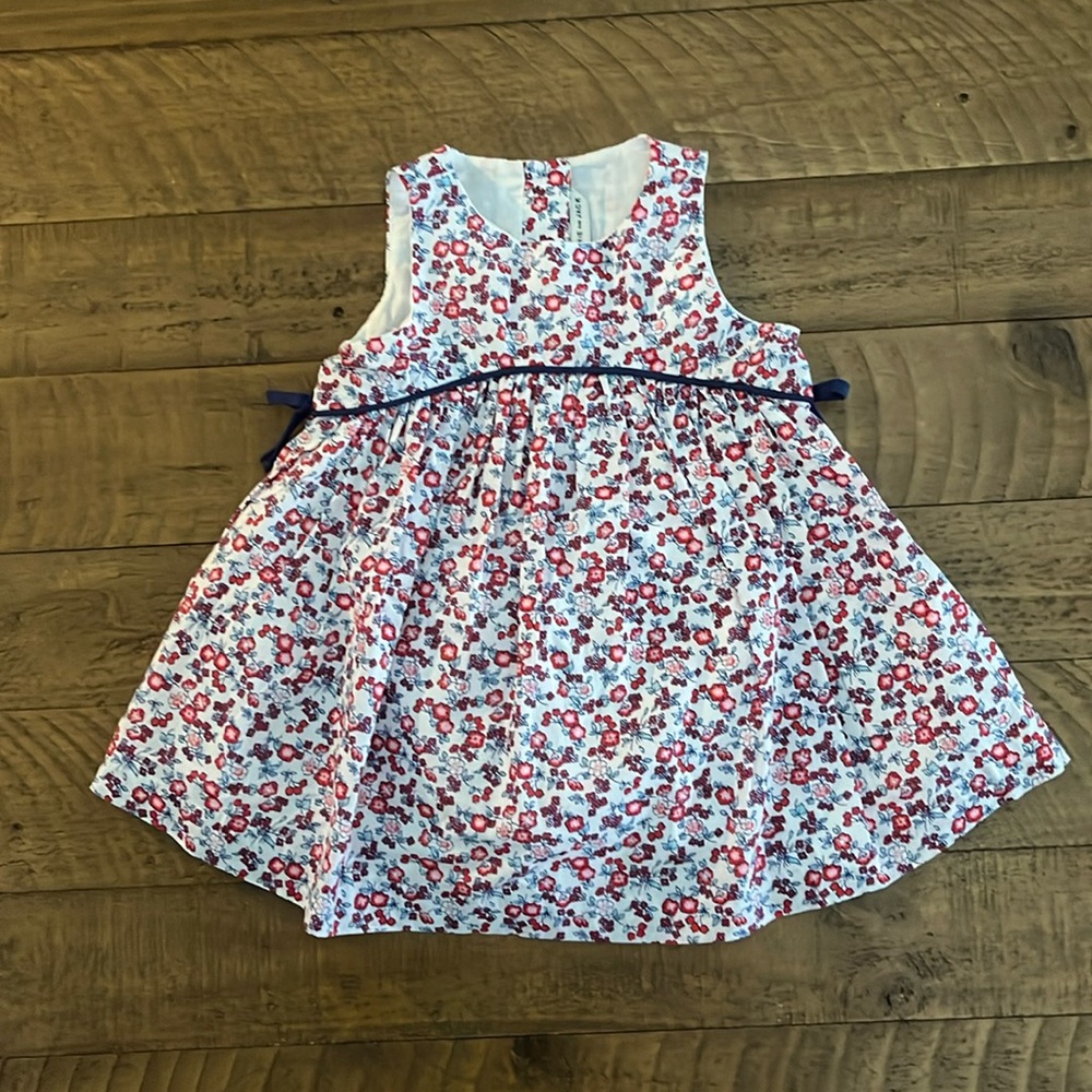 NWT Janie and Jack dress and matching bloomers